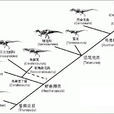 獸腳亞目(獸腳類)