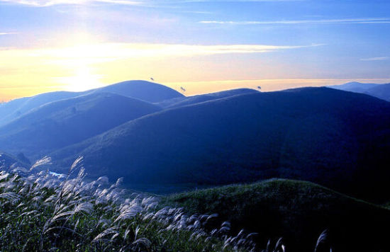 九嶺山(九嶺山風景區)