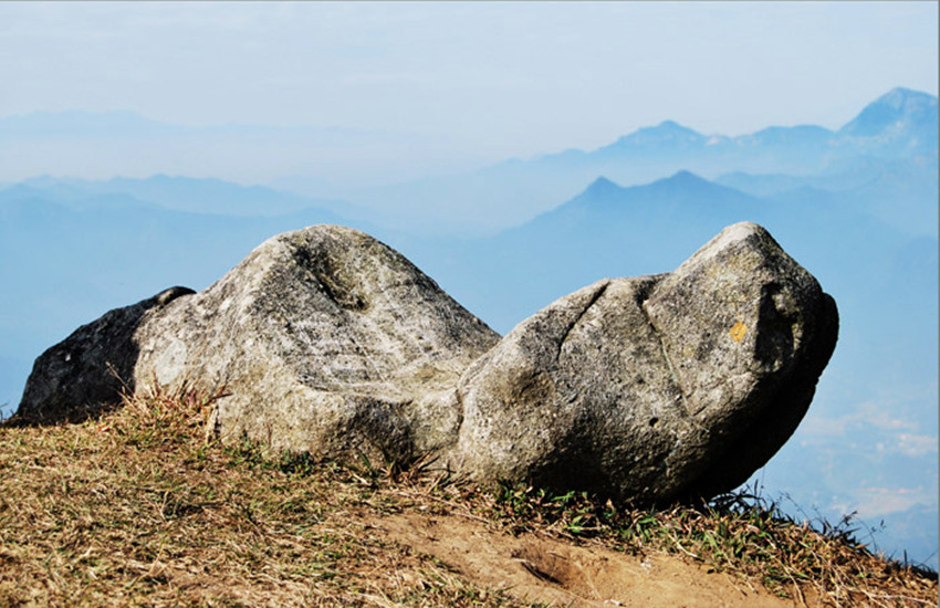 鎮山神龜 鎮山神龜