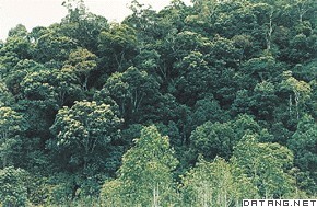 溫帶季風氣候 溫帶季風氣候