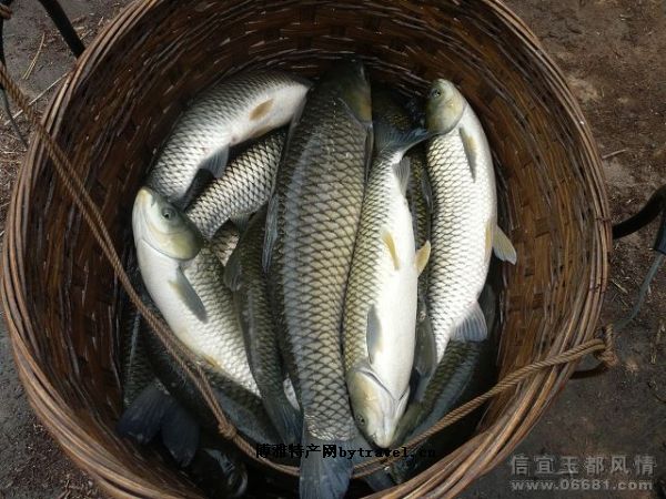 洪冠鎮 洪冠鎮