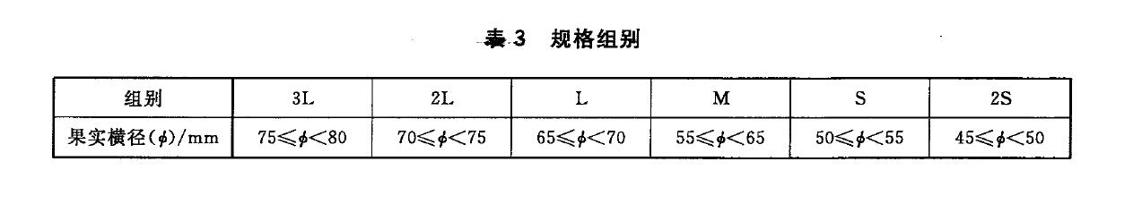 表3 規格組別 表3 規格組別