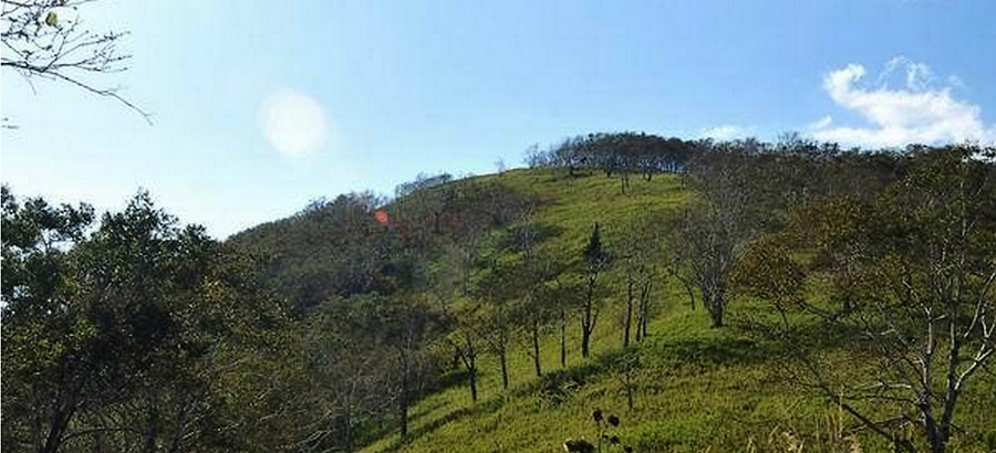 平頂山 平頂山