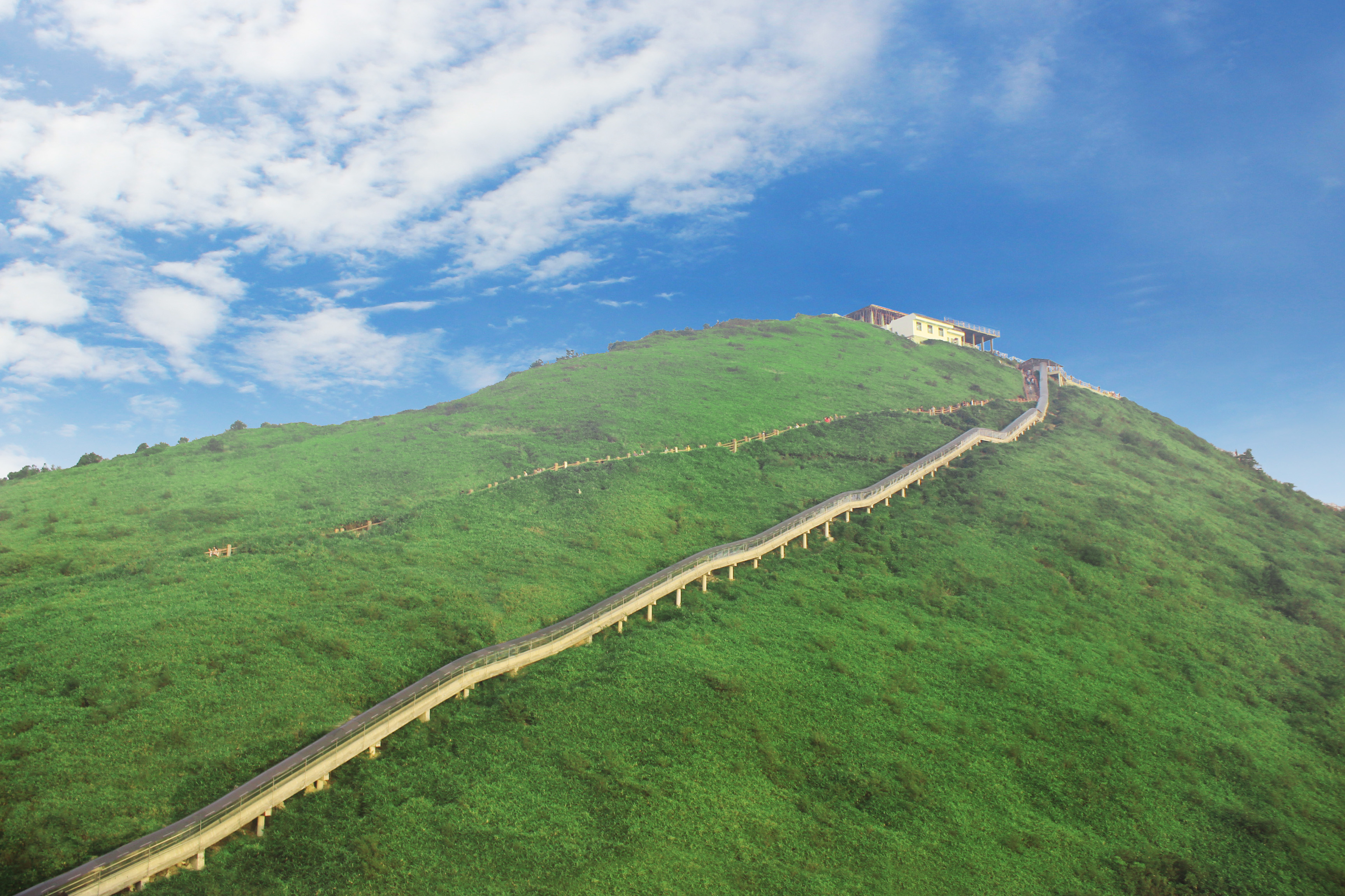 八台山(四川省萬源市八台山) 八台山(四川省萬源市八台山)
