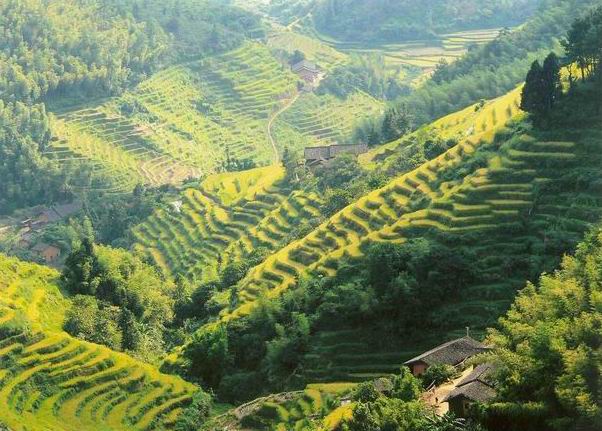 崇義縣丘陵地貌 崇義縣丘陵地貌