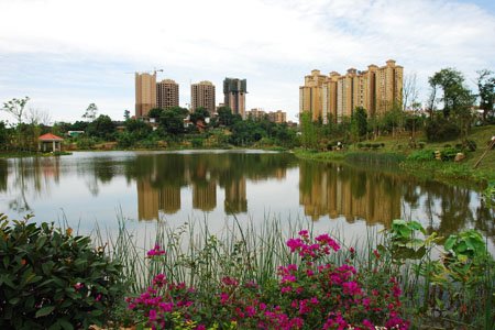 西城濕地公園 西城濕地公園