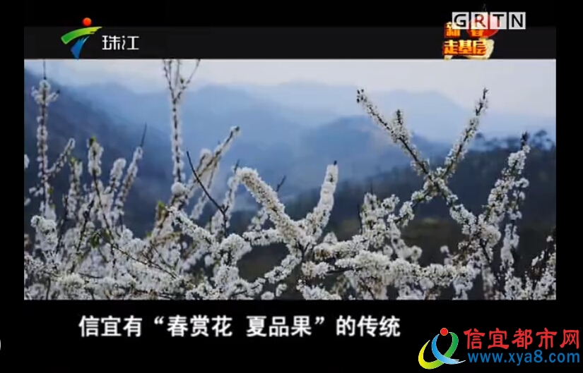 信宜的春賞花，夏品果