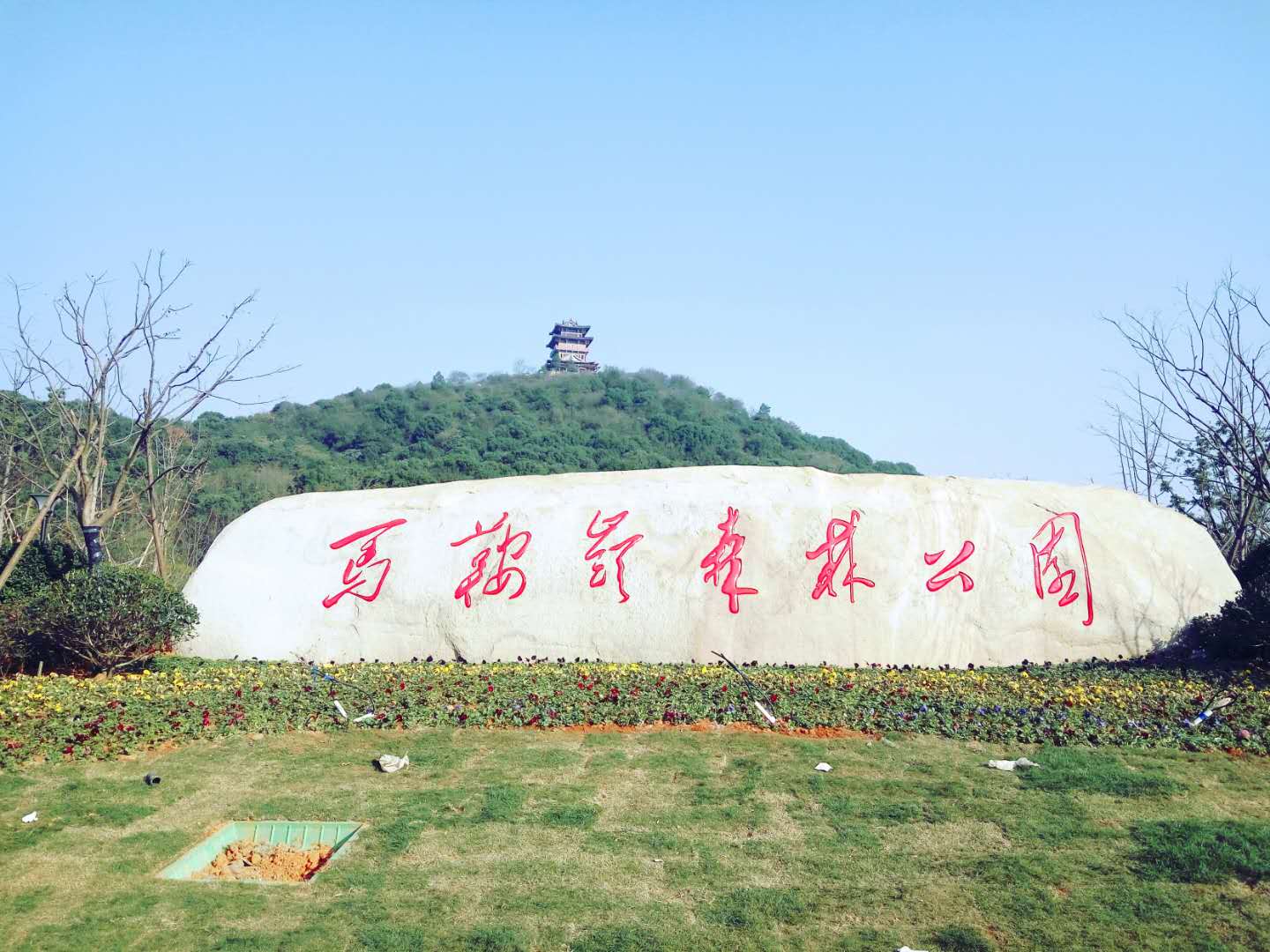 馬鞍嶺森林公園 馬鞍嶺森林公園