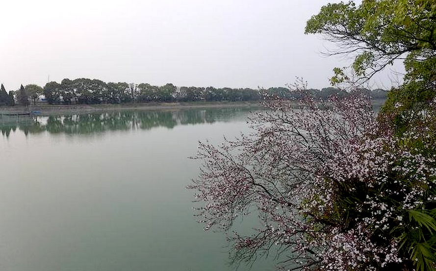 水上運動場一帶湖面 水上運動場一帶湖面