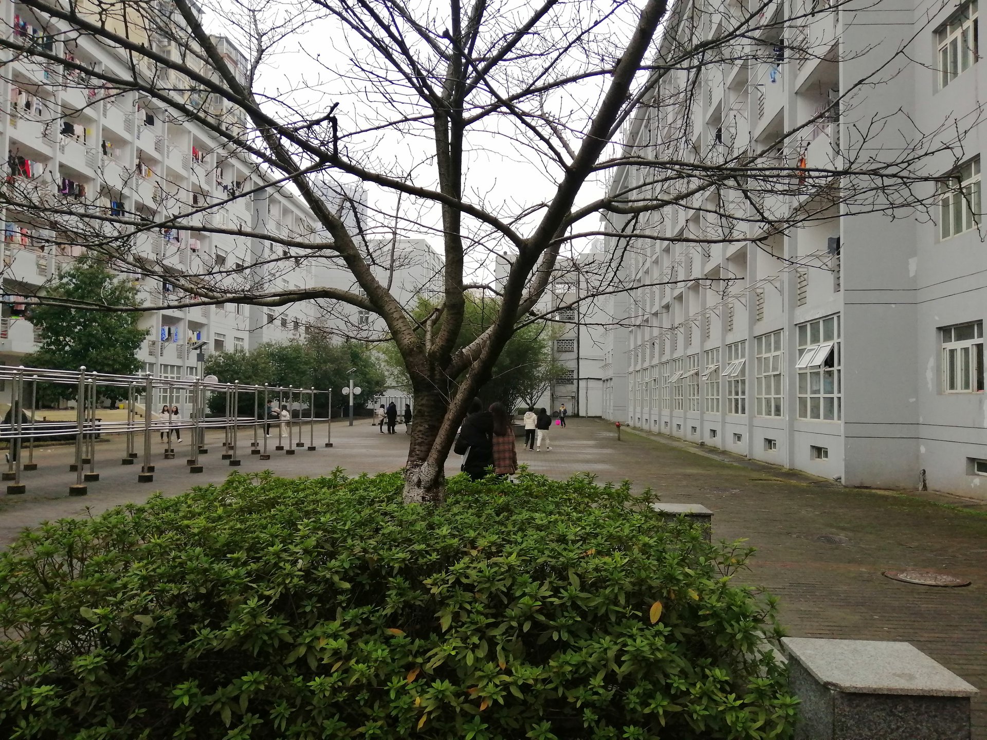 江西工程職業學院校園風光 江西工程職業學院校園風光
