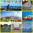 共青城(共青城市)