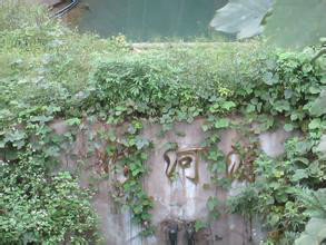 修河 修河