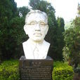胡先驌