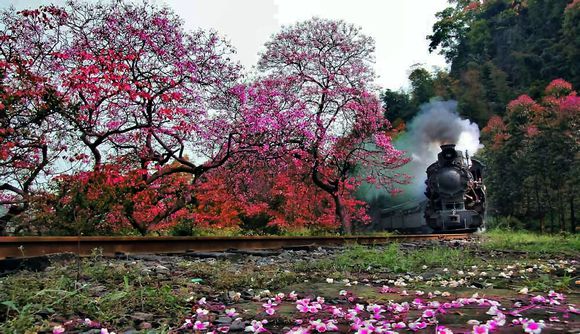 樂山嘉陽國家礦山公園