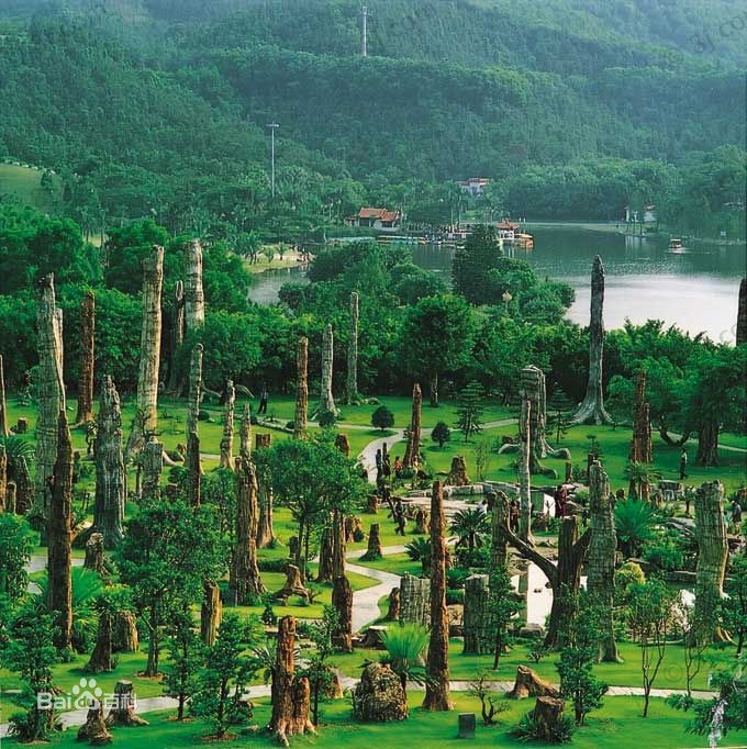 深圳仙湖植物園 深圳仙湖植物園