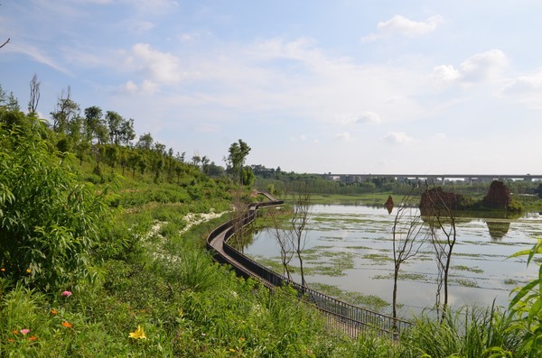 白鷺洲濕地 白鷺洲濕地