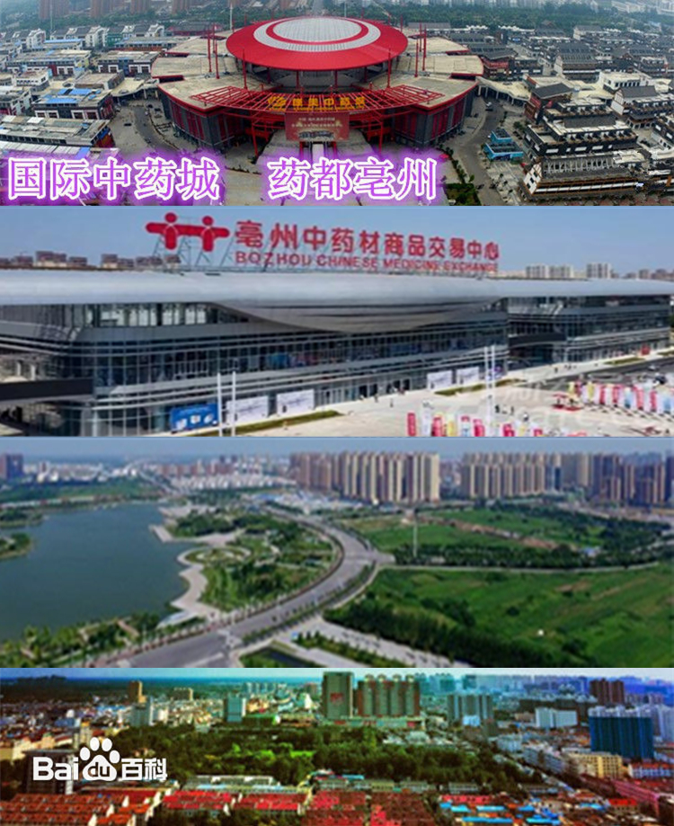 國際中藥城 藥都亳州 國際中藥城 藥都亳州