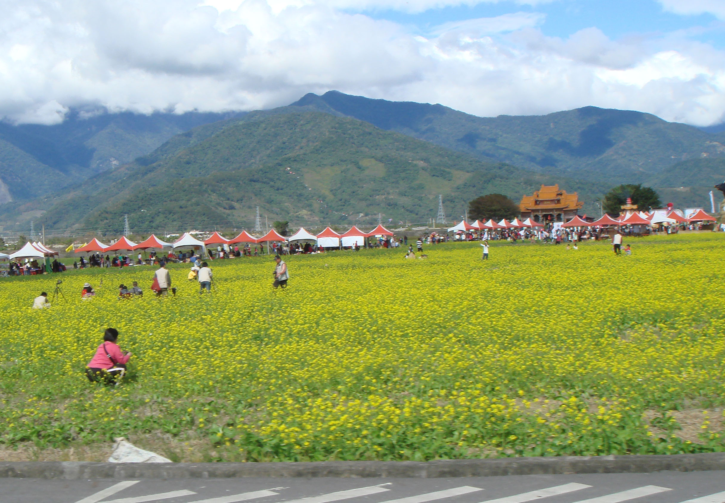 花東縱谷 花東縱谷