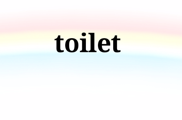 toilet
