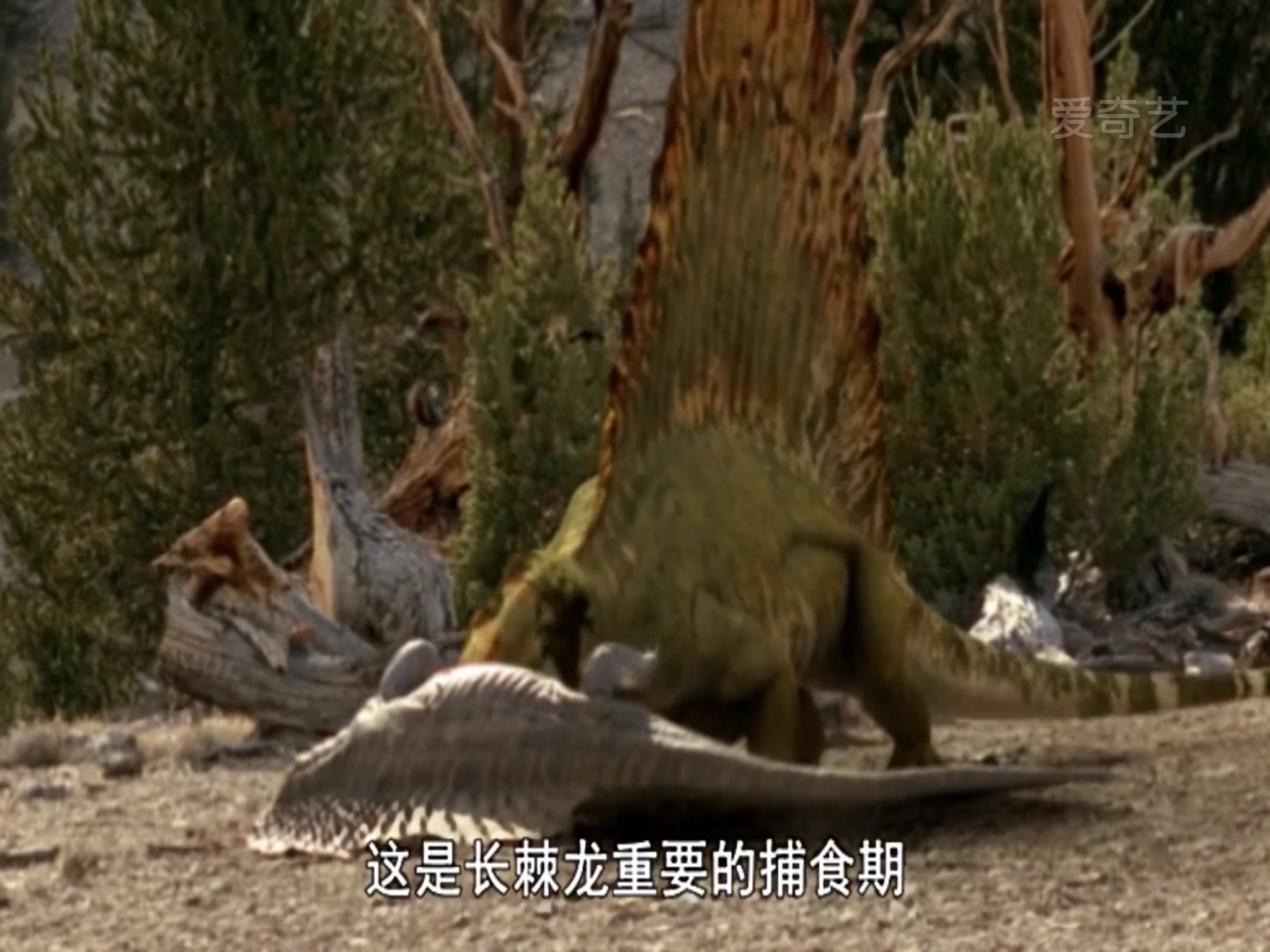 異齒龍(合弓綱動物)